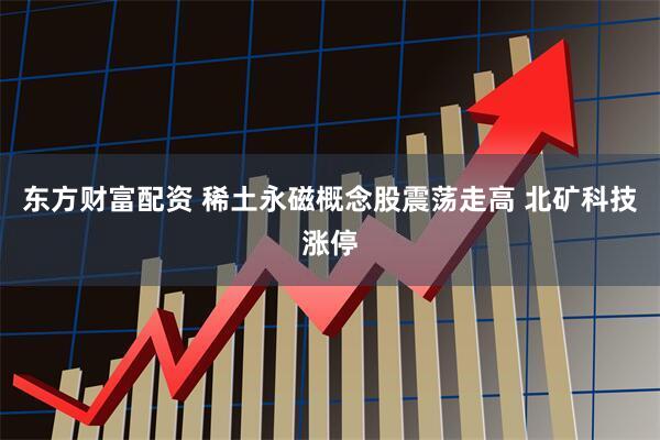 东方财富配资 稀土永磁概念股震荡走高 北矿科技涨停