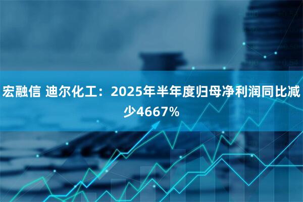 宏融信 迪尔化工：2025年半年度归母净利润同比减少4667%