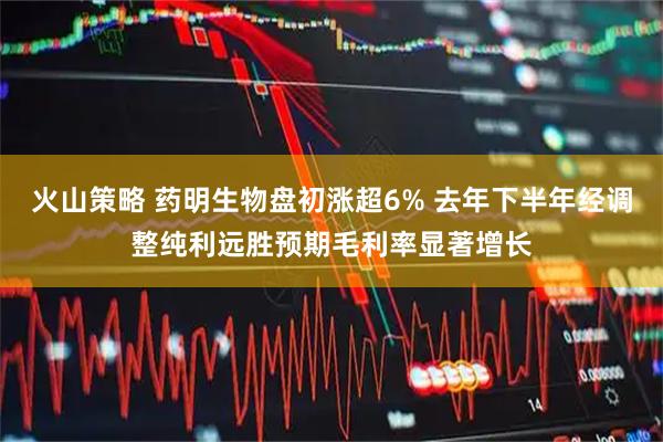 火山策略 药明生物盘初涨超6% 去年下半年经调整纯利远胜预期毛利率显著增长