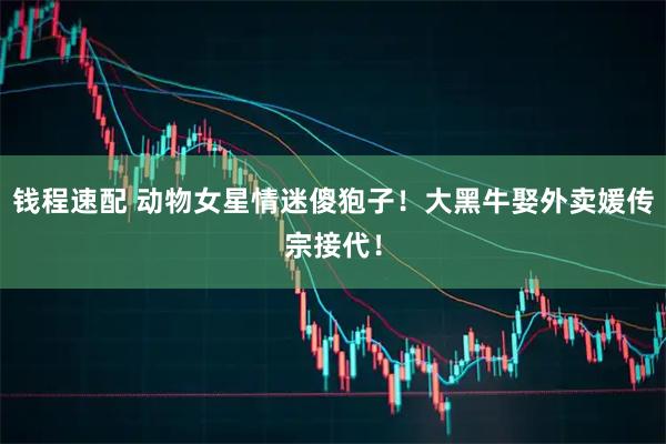 钱程速配 动物女星情迷傻狍子！大黑牛娶外卖媛传宗接代！